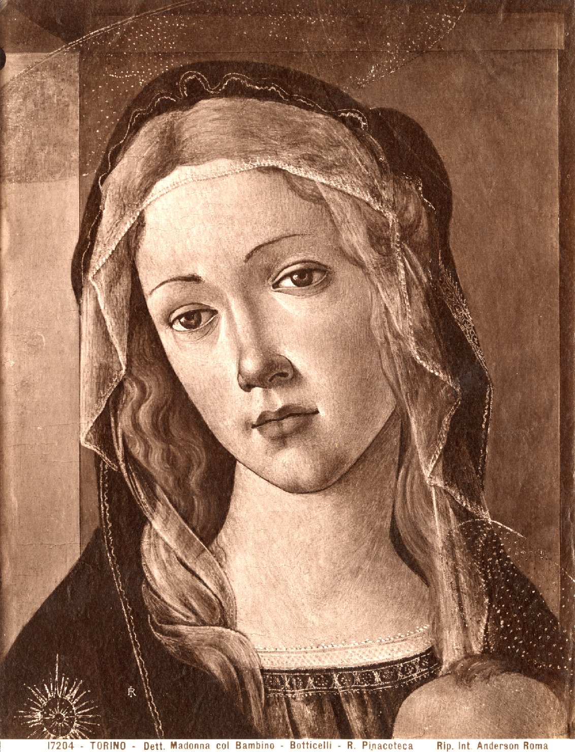 Madonna con Bambino - Dipinti (positivo) di Botticelli, Sandro, Anderson, Domenico (ditta) (XIX/ XX)