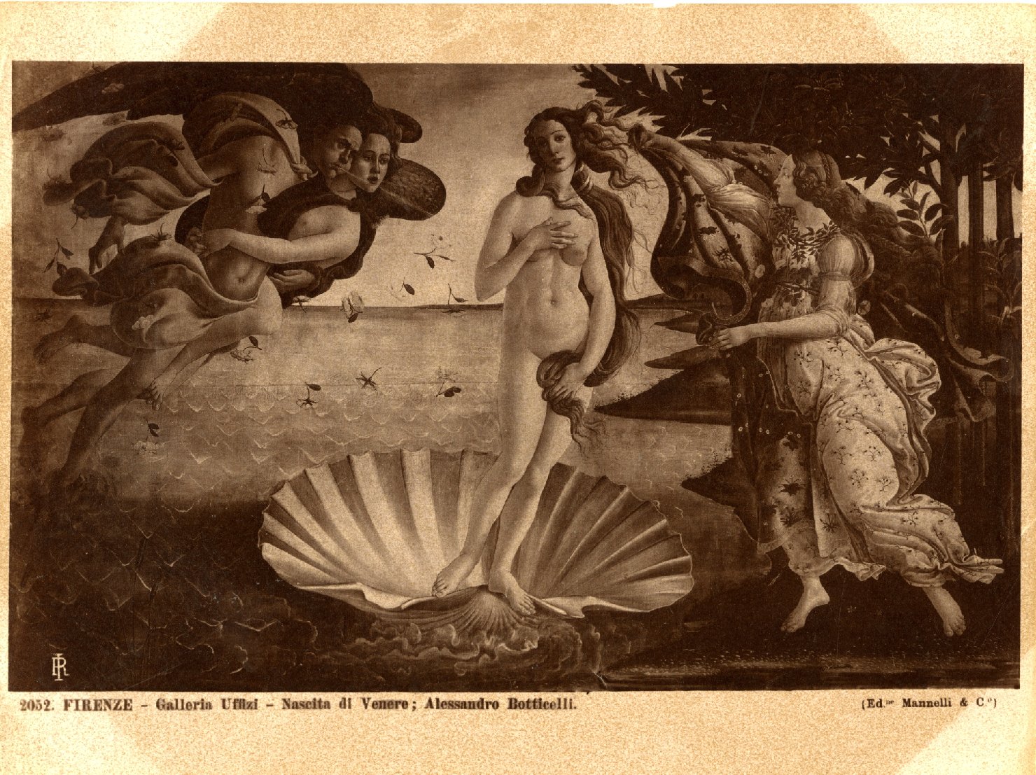 Nascita di Venere - Dipinti (positivo) di Botticelli, Sandro, Mannelli, Anchise & C (ditta) (XIX/ XX)