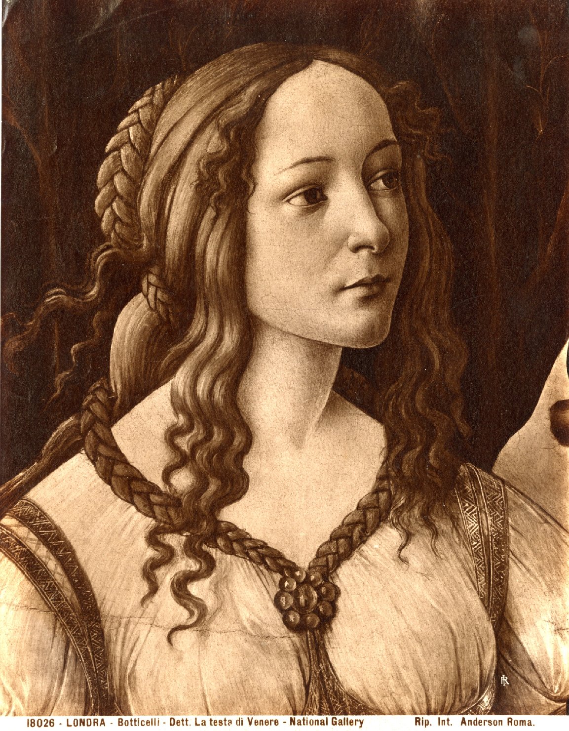 Venere - Dipinti (positivo) di Botticelli, Sandro, Anderson, Domenico (ditta) (XIX/ XX)