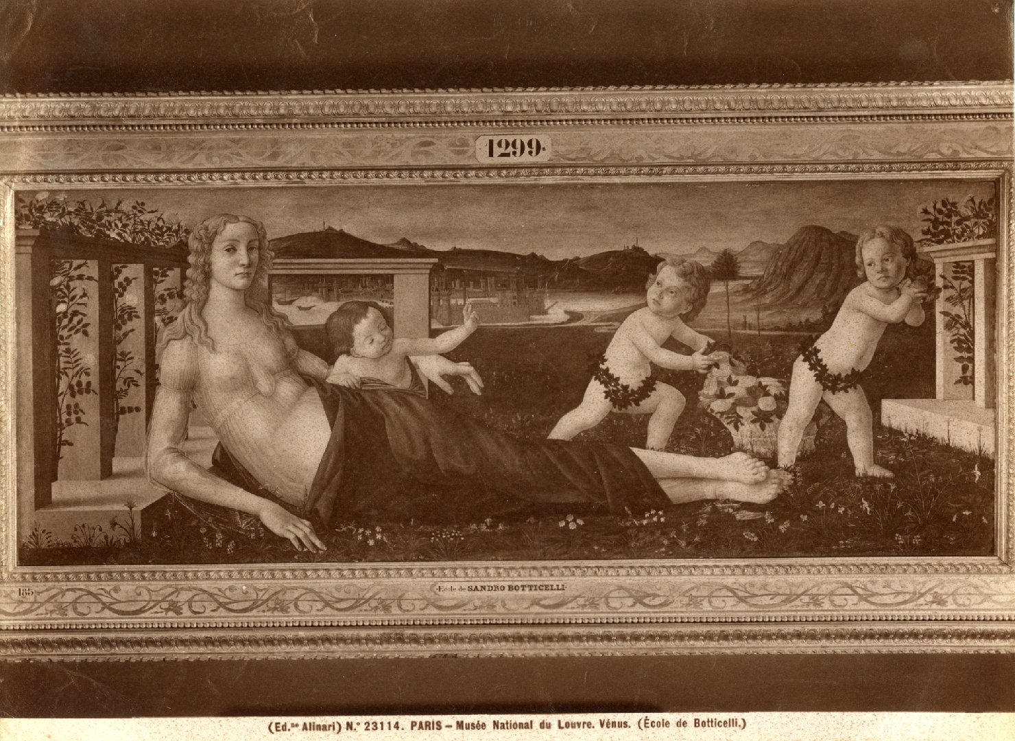 Venere - Dipinti (positivo) di Botticelli, Sandro (scuola), Fratelli Alinari (ditta) (XX)