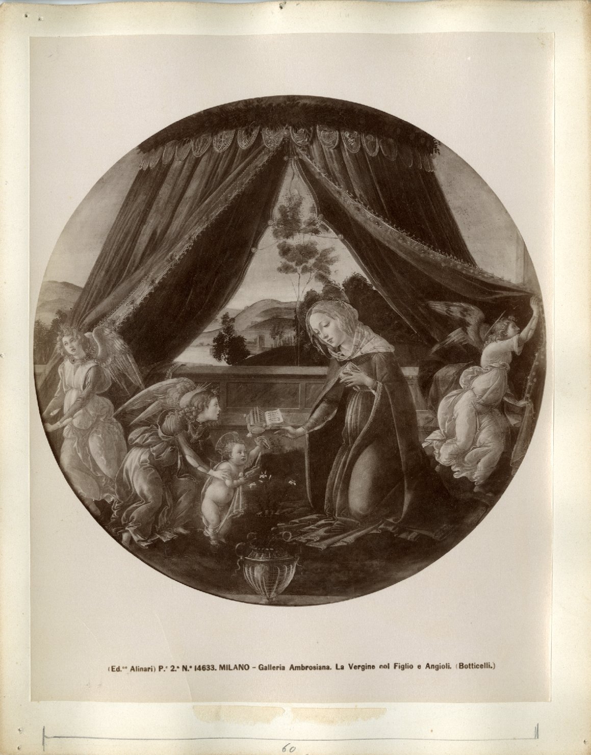 Madonna del padiglione - Dipinti (positivo) di Botticelli, Sandro, Fratelli Alinari (ditta) (XIX/ XX)