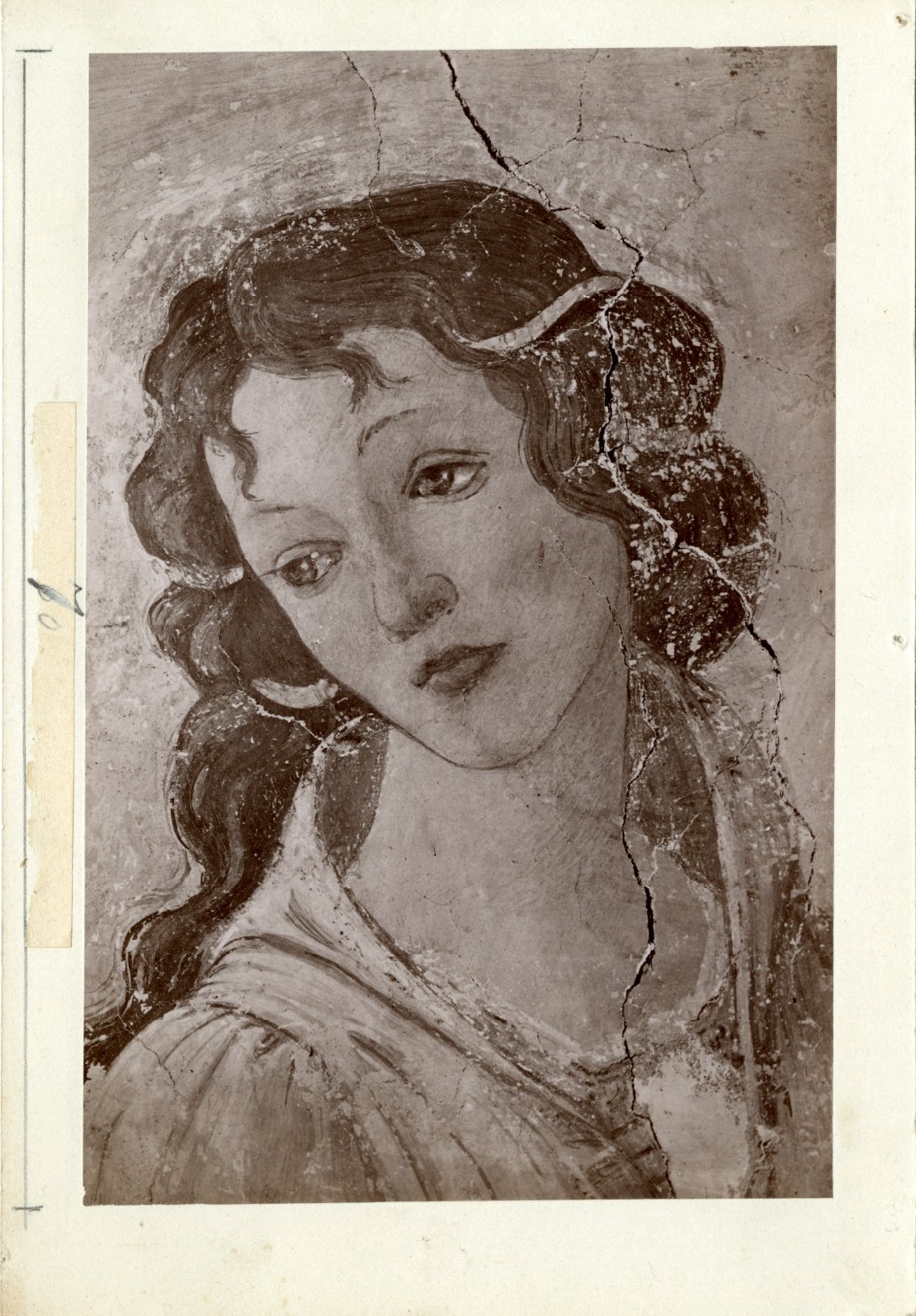 Venere e le tre Grazie offrono doni ad una giovane donna - Affreschi (positivo) di Botticelli, Sandro, Anonimo (XIX/ XX)