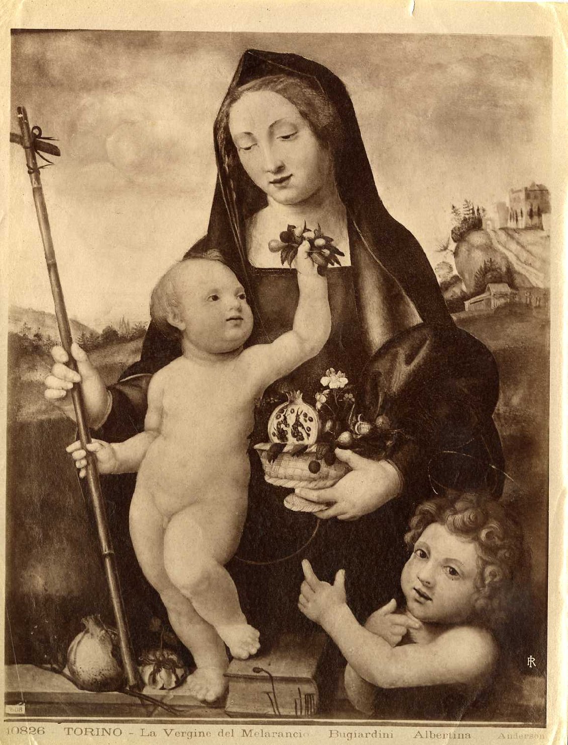 La Vergine con il Bambino e San Giovannino - Dipinti (positivo) di Bugiardini, Giuliano, Anderson, Domenico (ditta) (XIX/ XX)