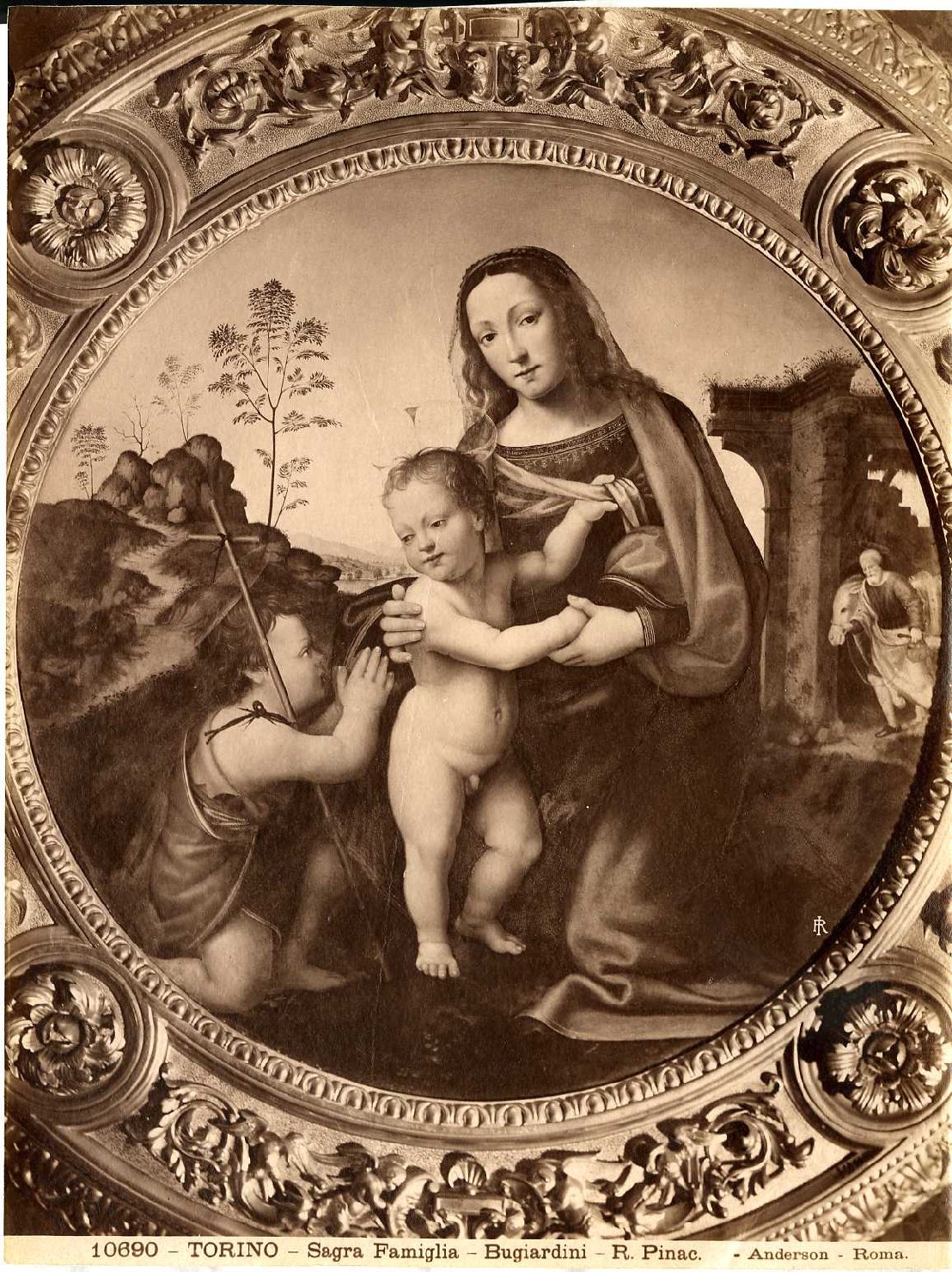 La Vergine con il Bambino e San Giovannino - Dipinti (positivo) di Bugiardini, Giuliano, Anderson, Domenico (ditta) (XIX/ XX)