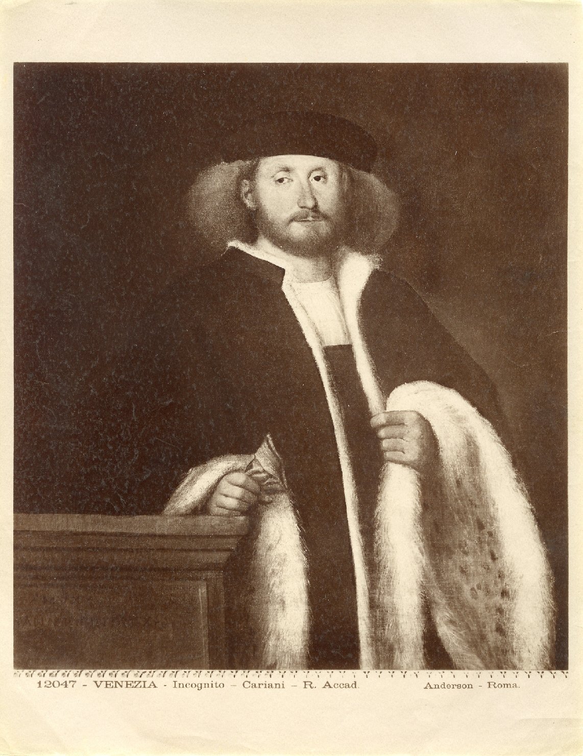 Ritratto virile - Dipinti (positivo) di Cariani, Giovanni (attr), Licinio, Bernardino, Anderson, Domenico (ditta) (XIX/ XX)