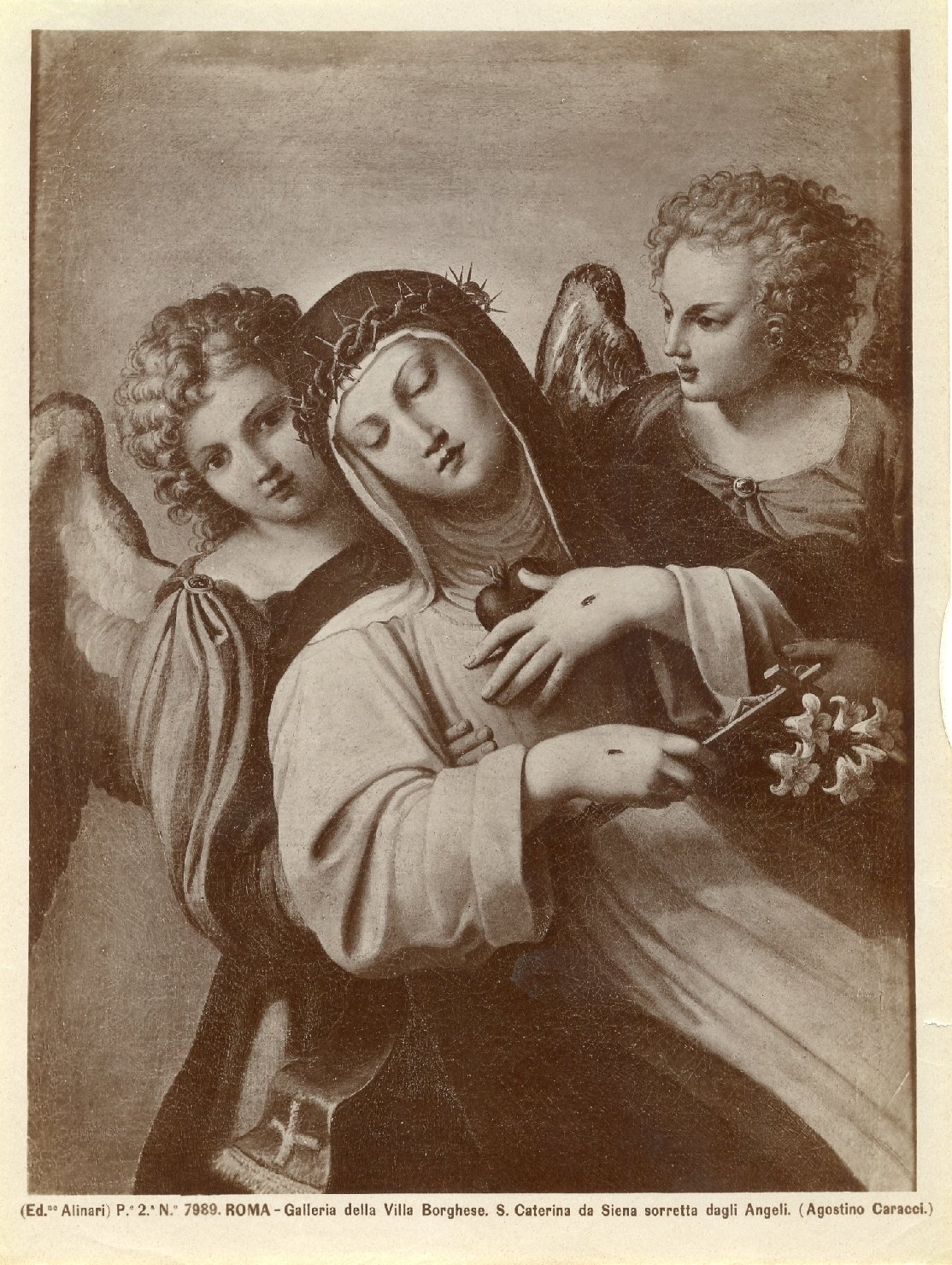Santa Caterina da Siena sorretta da angeli - Dipinti (positivo) di Carracci, Agostino, Fratelli Alinari (ditta) (XIX/ XX)