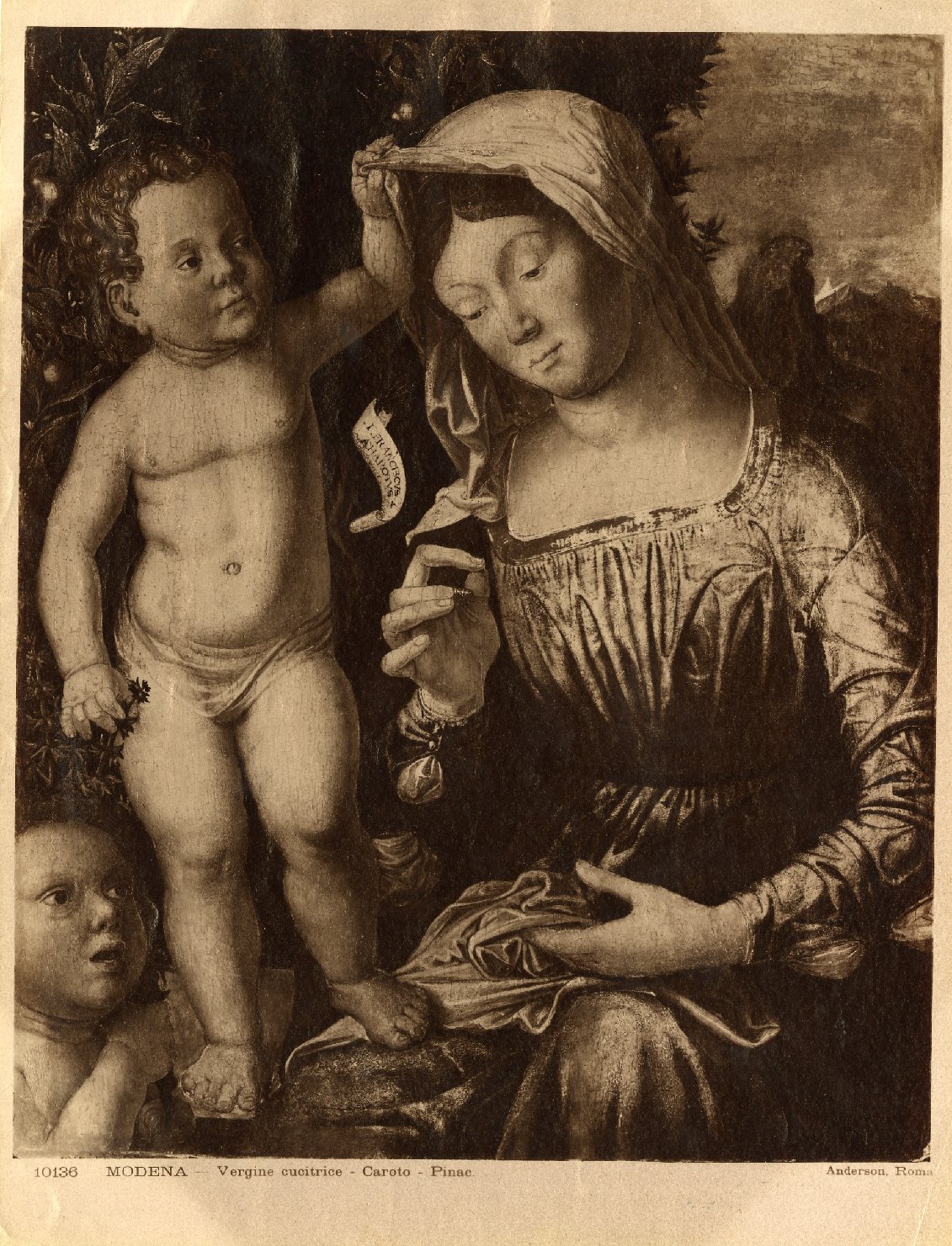 Madonna cucitrice - Dipinti (positivo) di Caroto, Giovanni Francesco, Anderson, Domenico (ditta) (XIX/ XX)