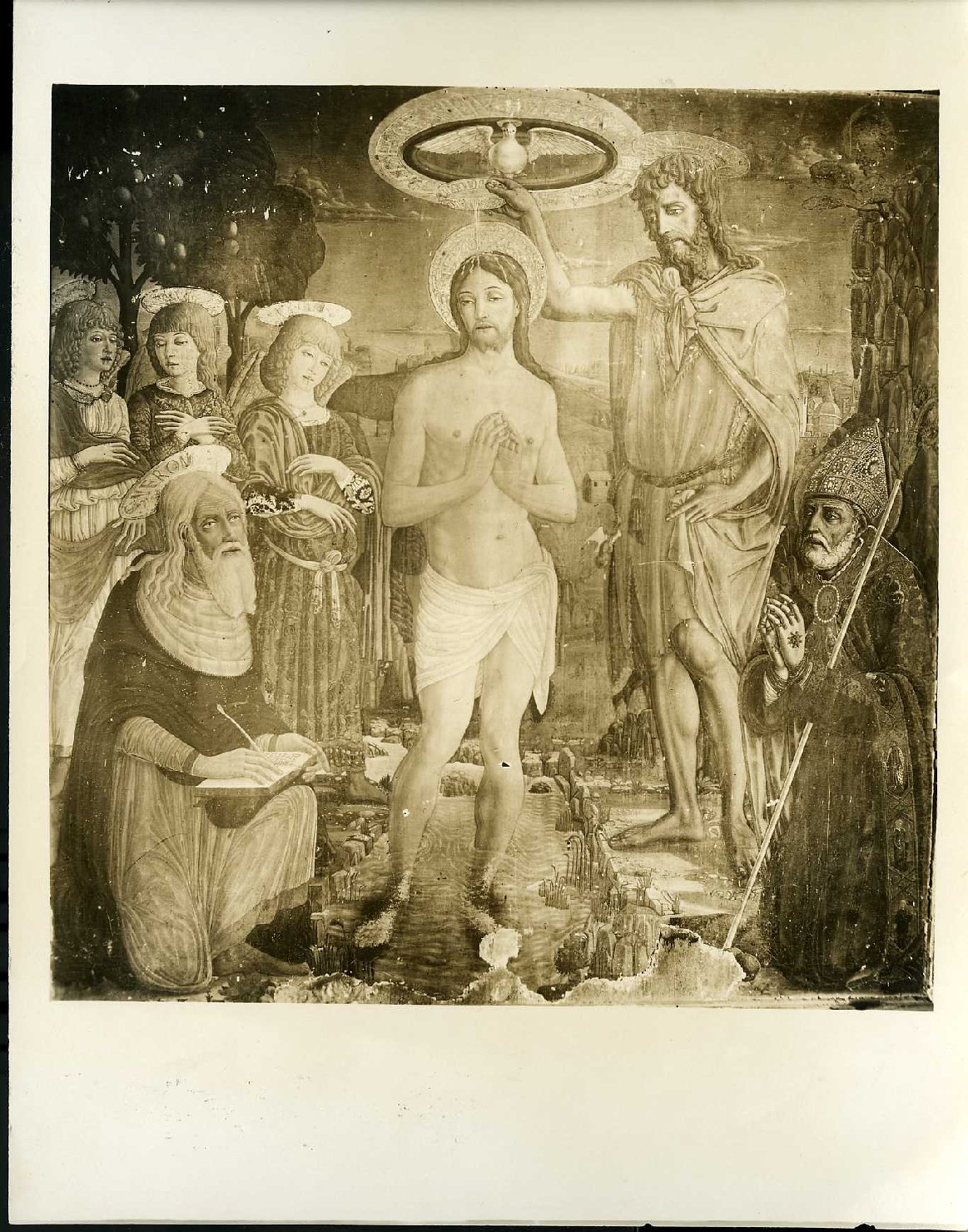 Battesimo di Cristo - Dipinti (positivo) di Cozzarelli, Guidoccio, Gabinetto Fotografico degli Uffizi (XX)