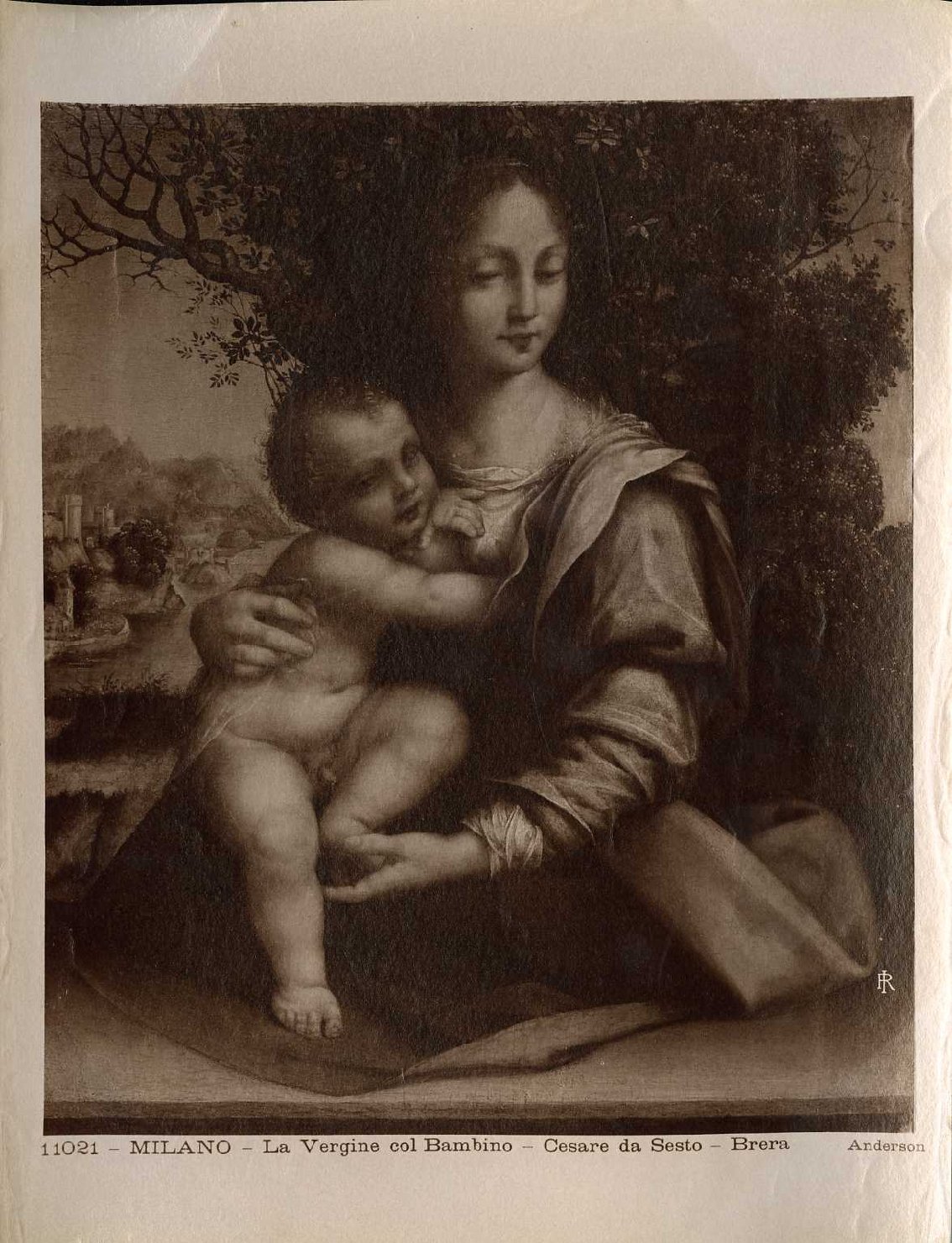 Madonna con Bambino - Dipinti (positivo) di Cesare da Sesto, Anderson, Domenico (ditta) (XIX/ XX)