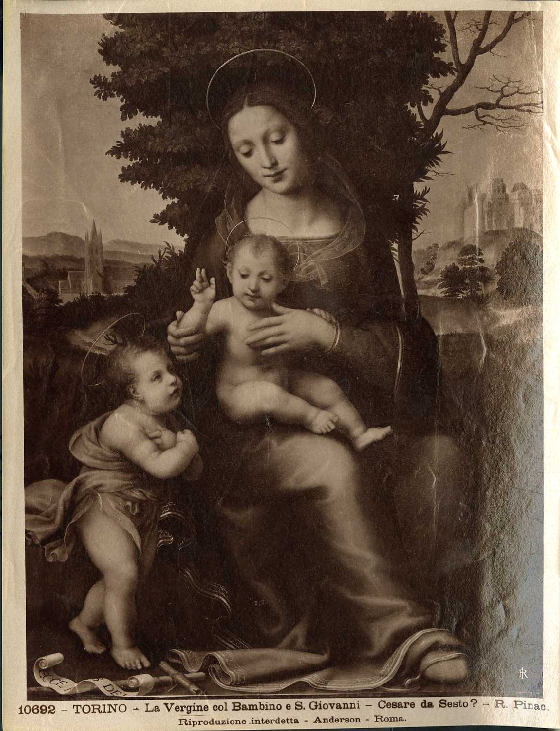 Madonna con Bambino e San Giovannino - Dipinti (positivo) di Sogliani, Giovanni Antonio, Cesare da Sesto (attr), Anderson, Domenico (ditta) (XIX/ XX)