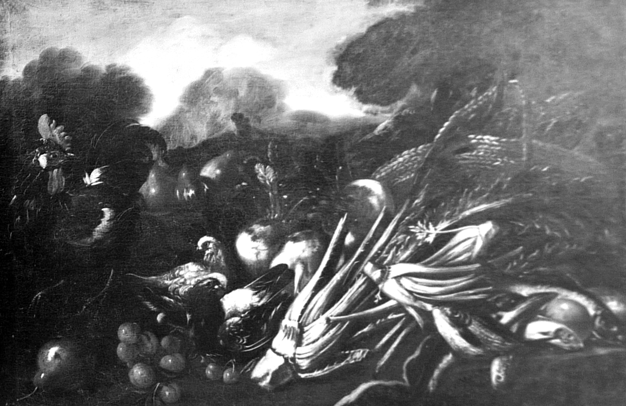 natura morta con cardi e pesci, natura morta (dipinto, elemento d'insieme) di Vitali Candido (attribuito) (prima metà sec. XVIII)