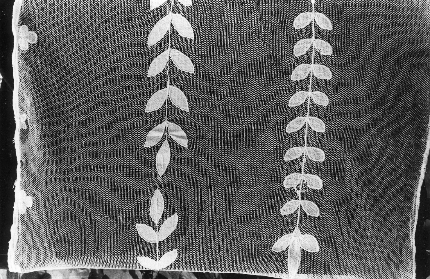 trina - manifattura bolognese (prima metà sec. XIX)