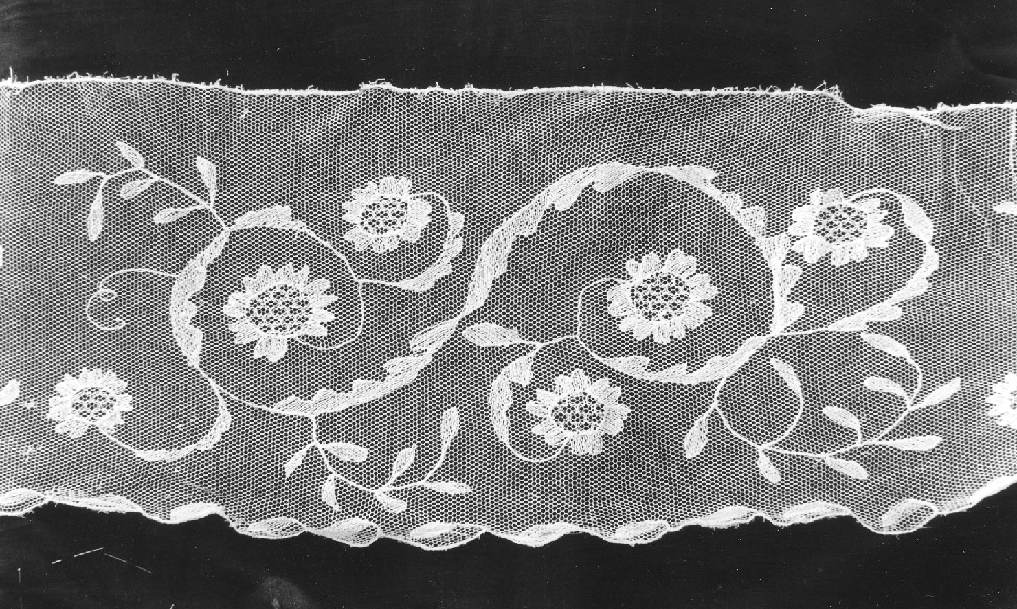 trina - manifattura bolognese (sec. XVIII)