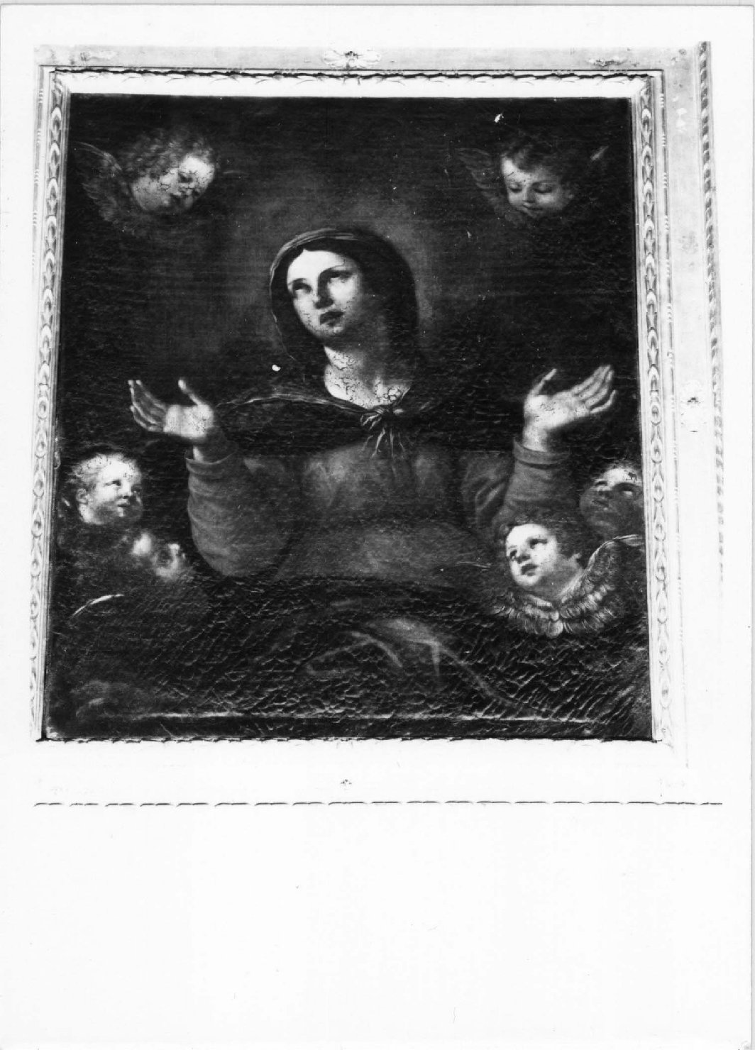 Madonna assunta con cherubini (dipinto) di Albani Francesco (attribuito) (sec. XVII)