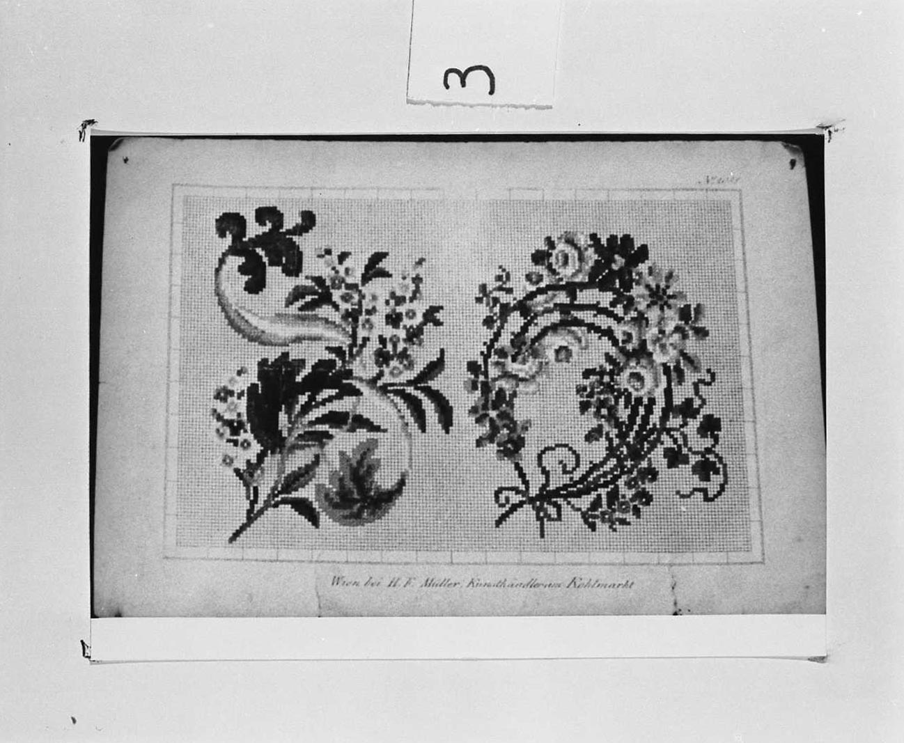 fiori (stampa a colori) - ambito tedesco (seconda metà sec. XIX)