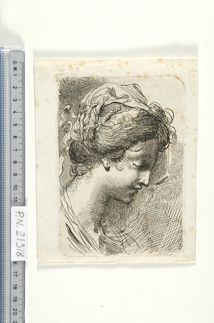 testa di fanciulla (stampa) di Gandolfi Gaetano (secc. XVIII/ XIX)