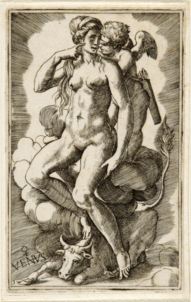 Venere (stampa smarginata) di Bonasone Giulio (attribuito) (sec. XVI)