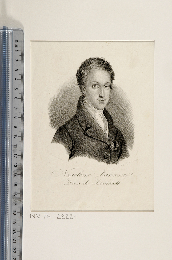 ritratto di Napoleone Frcesco (stampa smarginata) di Bedini P - ambito italiano (sec. XIX)
