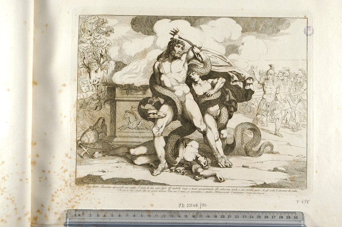 Laocoonte e i figli strangolati da due serpenti (stampa) di Pinelli Bartolomeo (sec. XIX)