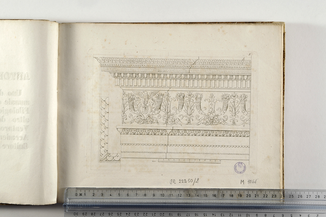 cornice architettonica con motivi decorativi (stampa) di Magazzari Giovanni (sec. XIX)
