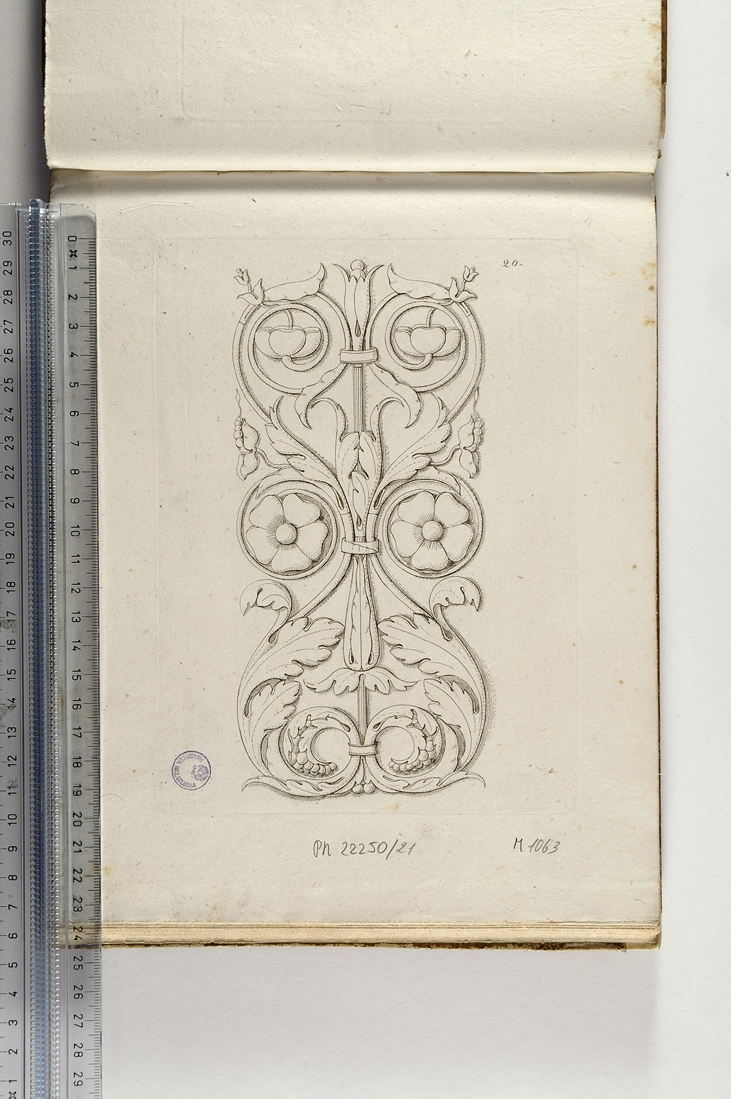 motivi decorativi a girali vegetali (stampa) di Magazzari Giovanni (sec. XIX)