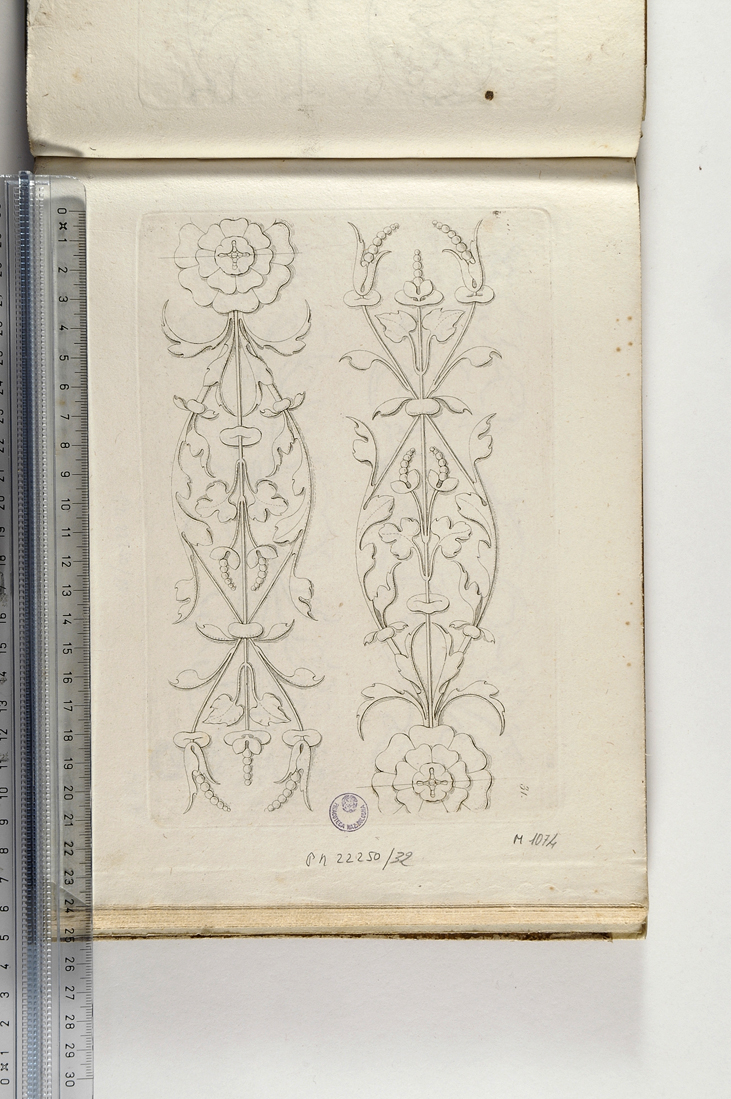 motivi decorativi vegetali (stampa) di Magazzari Giovanni (sec. XIX)