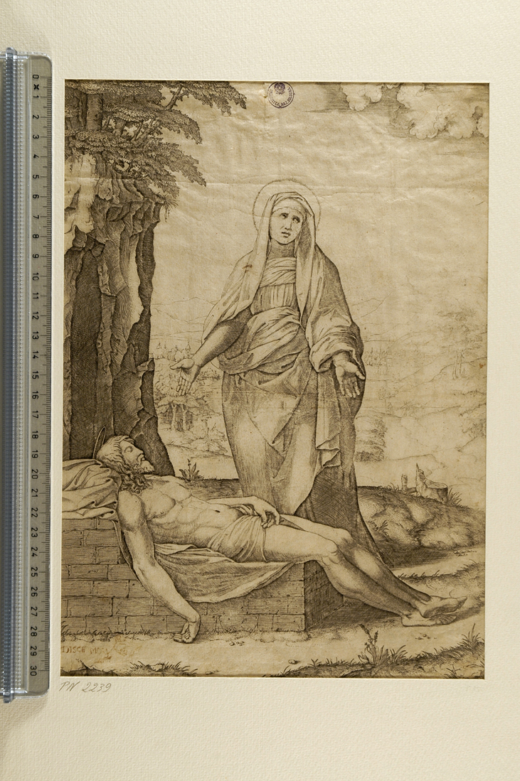 La Vergine piange Cristo morto (stampa smarginata) di Raimondi Marcantonio, Sanzio Raffaello (sec. XVI)