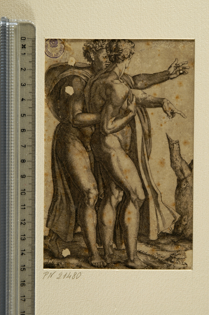 due uomini nudi in piedi (stampa smarginata) di Raimondi Marcantonio, Buonarroti Michelangelo (sec. XVI)