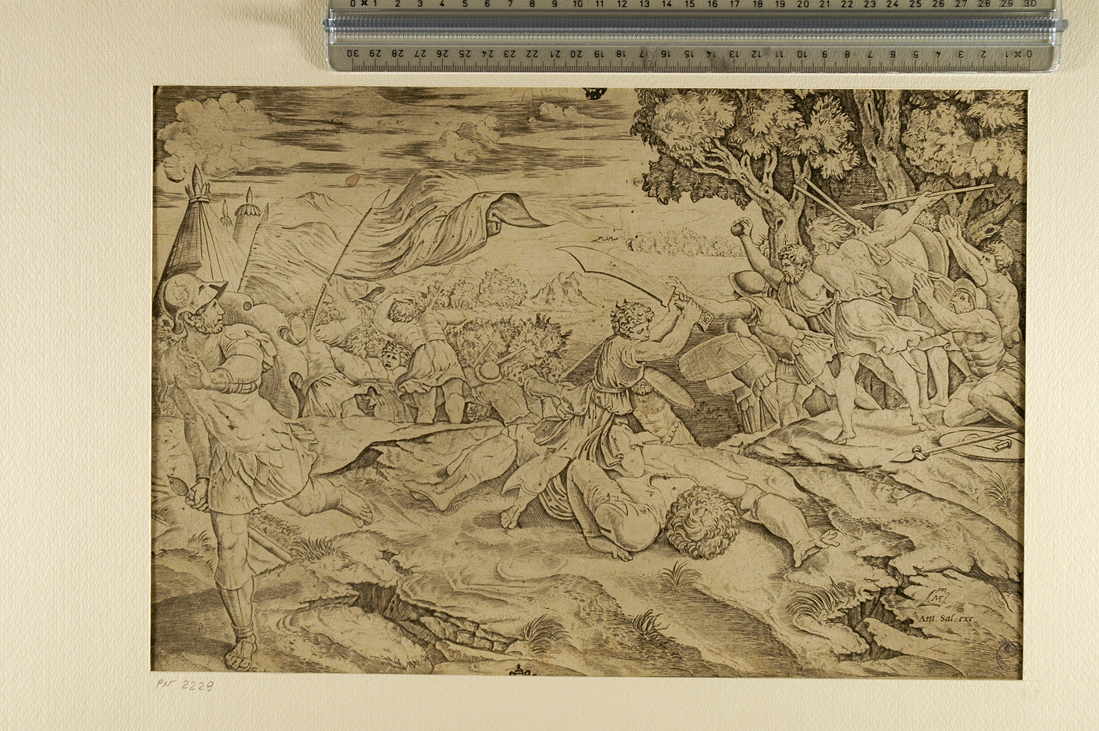 David decapita Golia (stampa smarginata) di Sanzio Raffaello, Raimondi Marcantonio (sec. XVI)