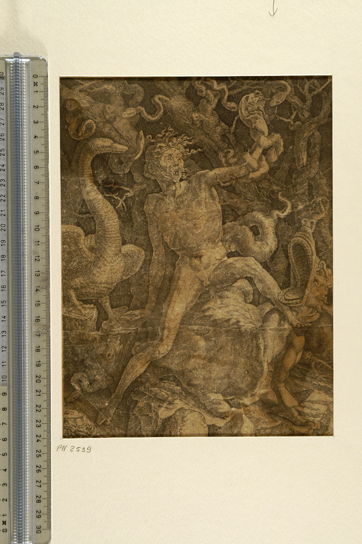 Furore (stampa smarginata) di Caraglio Giovanni Giacomo, Rosso Fiorentino (sec. XVI)