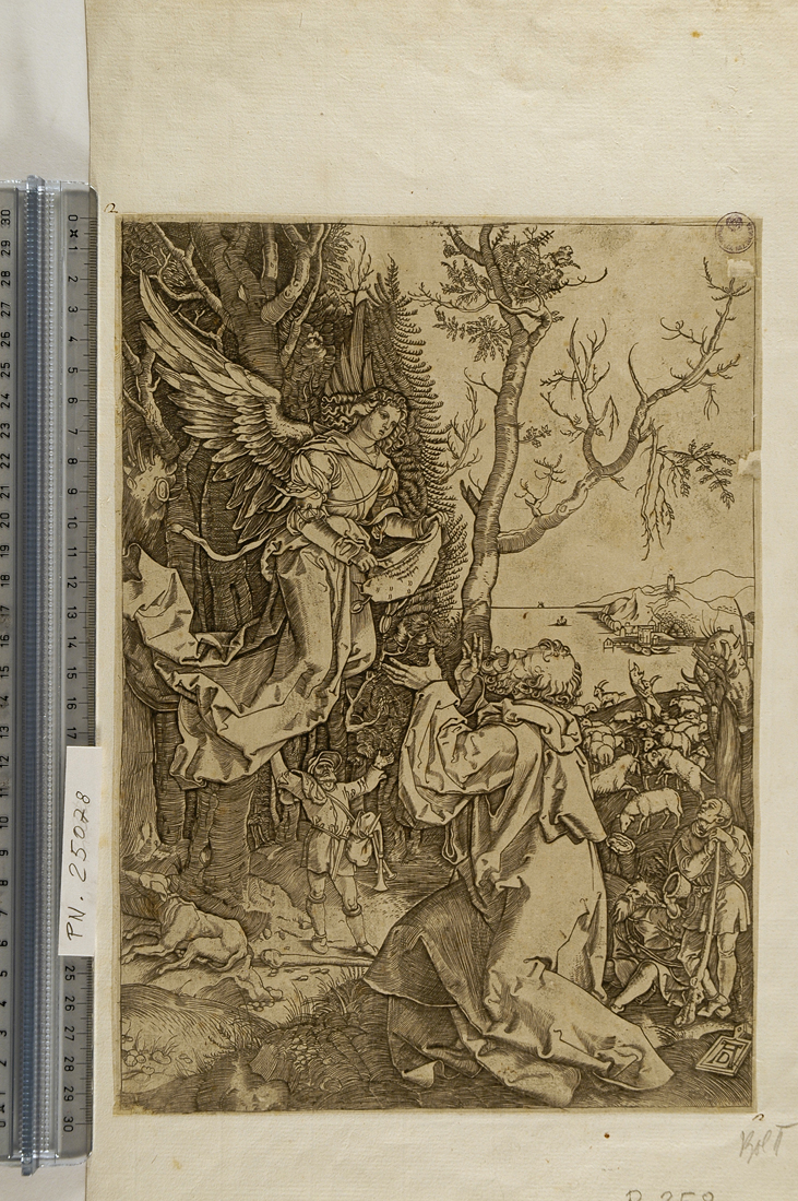 annuncio a San Gioacchino (stampa smarginata) di Durer Albrecht, Raimondi Marcantonio (sec. XVI)