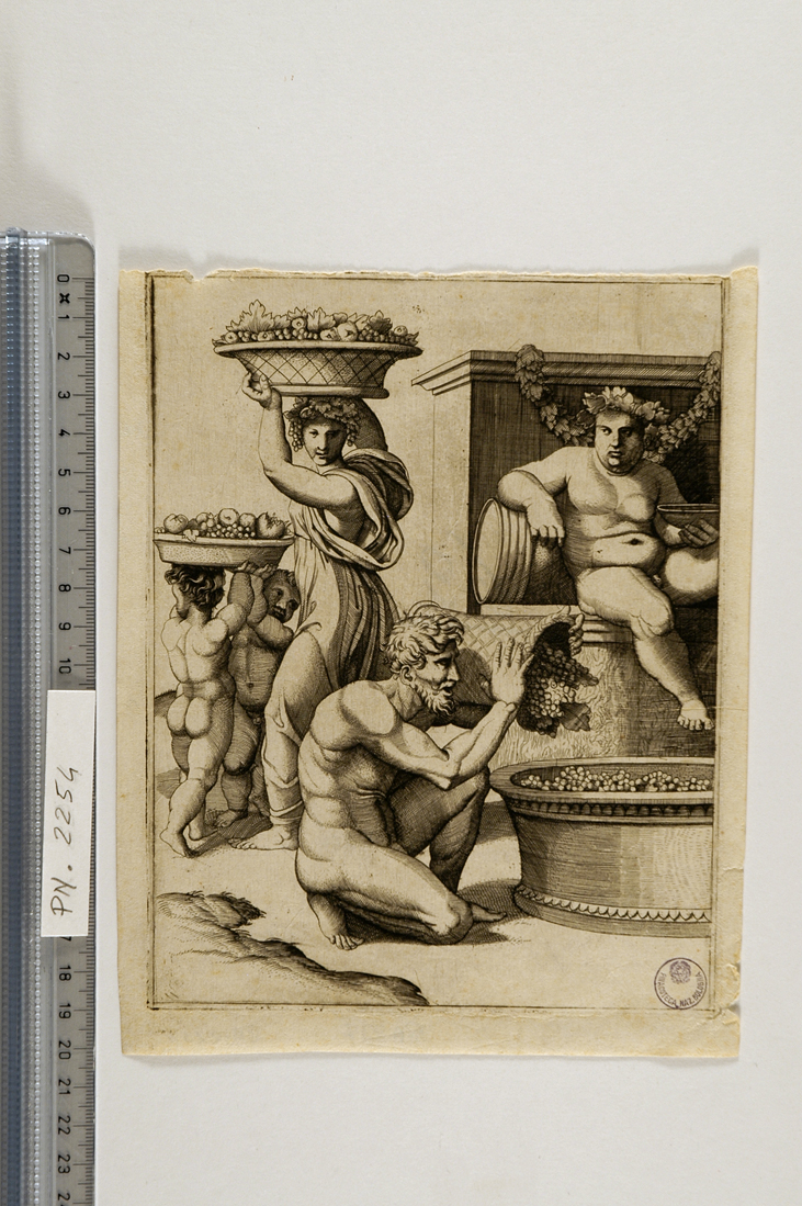 La vendemmia (stampa smarginata) di Sanzio Raffaello - ambito italiano (sec. XVI)