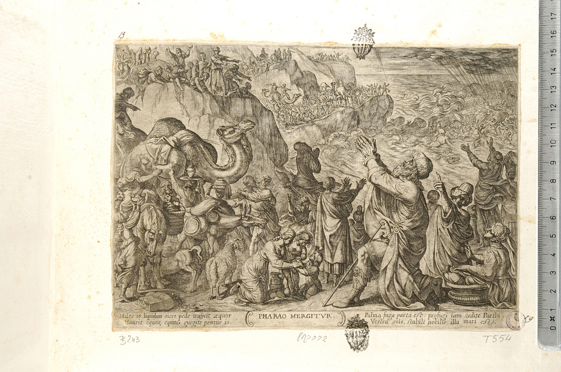 l'armata del Faraone è sommersa dal Mar Rosso (stampa smarginata) di Tempesta Antonio (sec. XVII)