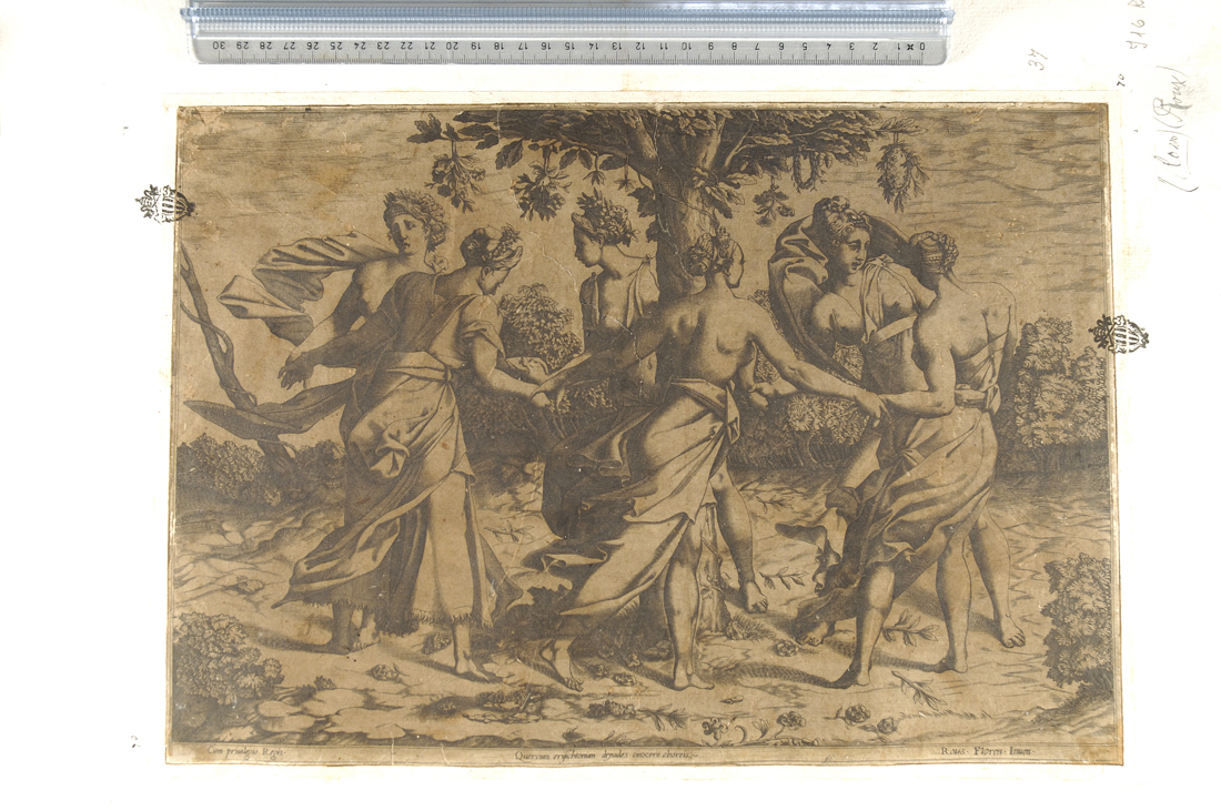 danza delle Driadi (stampa smarginata) di Rosso Fiorentino, Milan Pierre (sec. XVI)