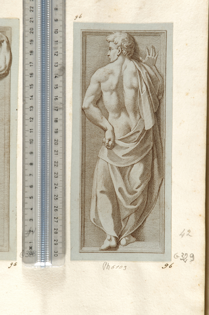 studio virile dall'antico (stampa smarginata) di Gregori Carlo (attribuito), Baccio Bandinelli (sec. XVIII)