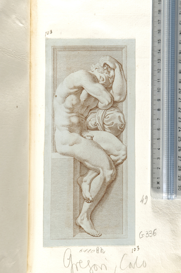 studio virile dall'antico (stampa smarginata) di Gregori Carlo (attribuito), Baccio Bandinelli (sec. XVIII)