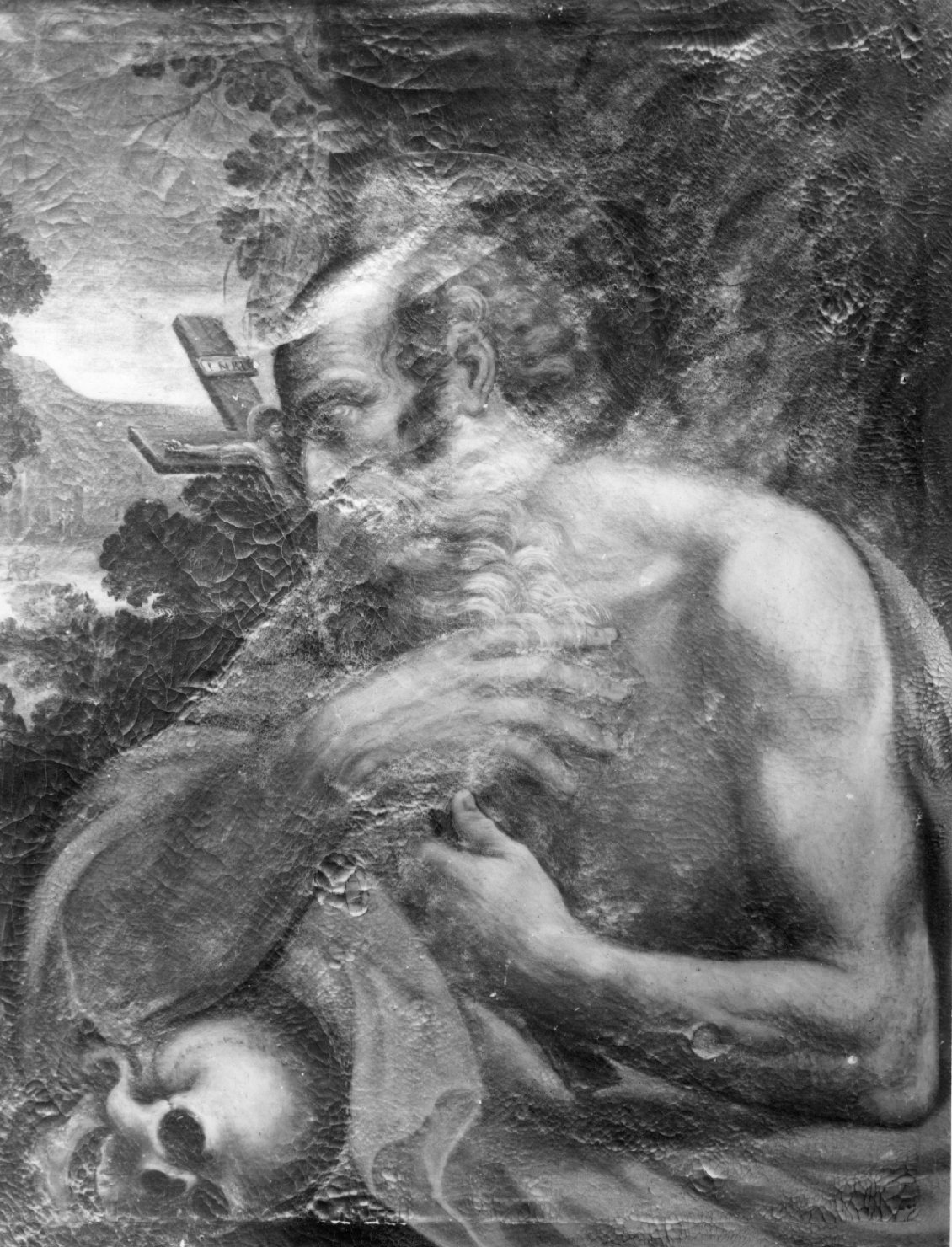 San Girolamo in meditazione (dipinto) - ambito bolognese (prima metà sec. XVII)