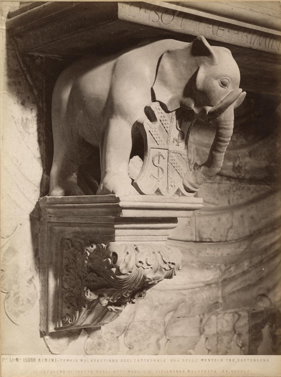 Monumento sepolcrale - Sculture (positivo) di Agostino di Duccio, Fratelli Alinari (ditta) (XIX)