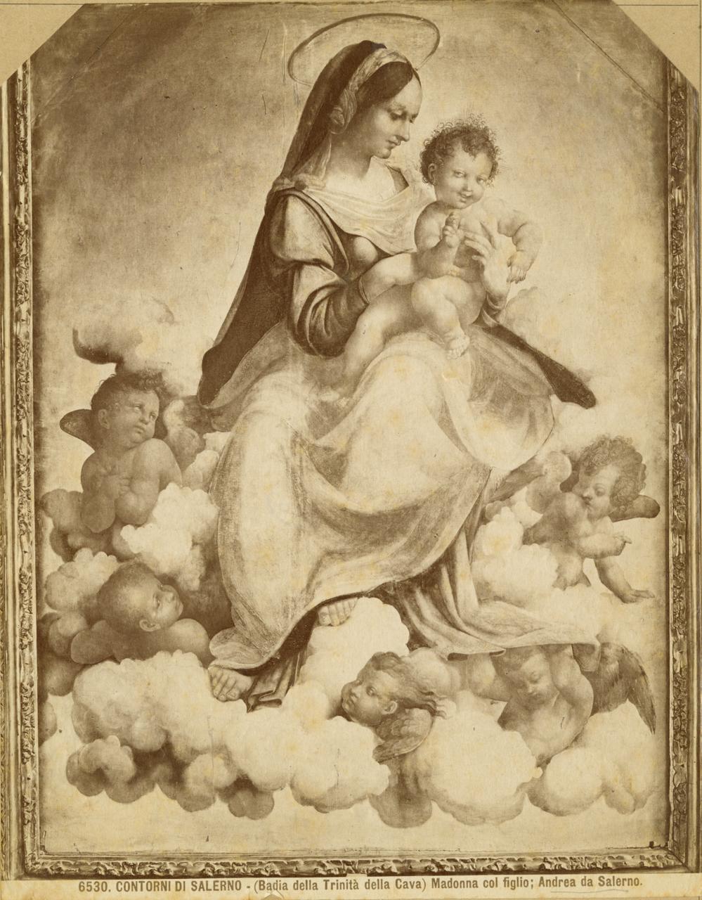 Madonna col Bambino - Dipinti (positivo) di Cesare da Sesto (attr), Andrea da Salerno (attr), Brogi, Giacomo (XX)