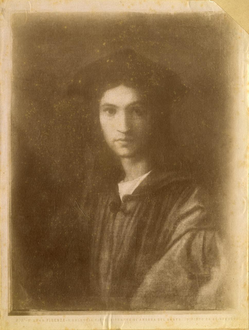 Ritratto - Dipinti (positivo) di Andrea del Sarto (scuola), Fratelli Alinari (ditta) (XIX)