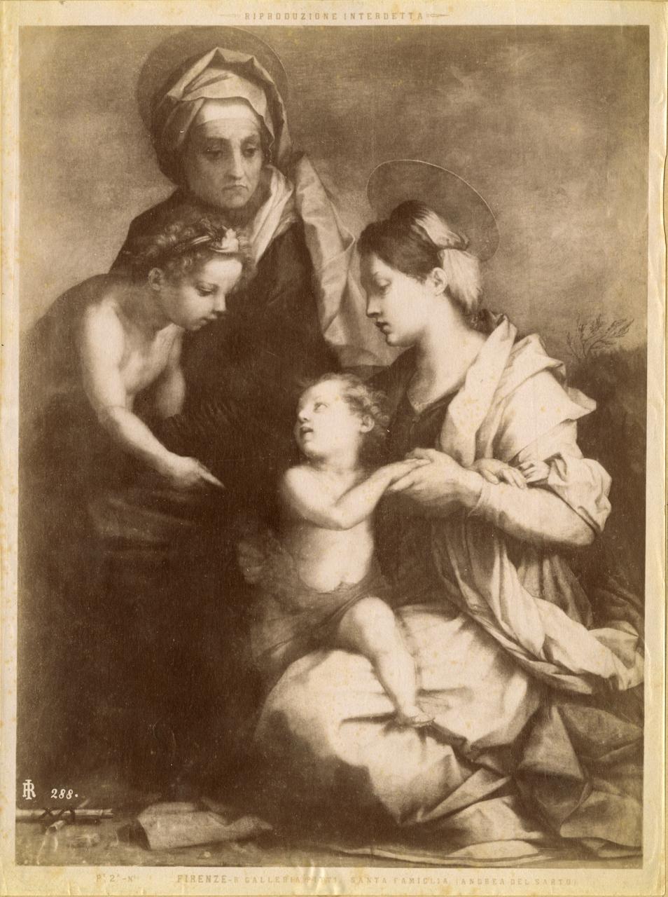Madonna col Bambino - Dipinti (positivo) di Andrea del Sarto, Fratelli Alinari (ditta) (XIX)