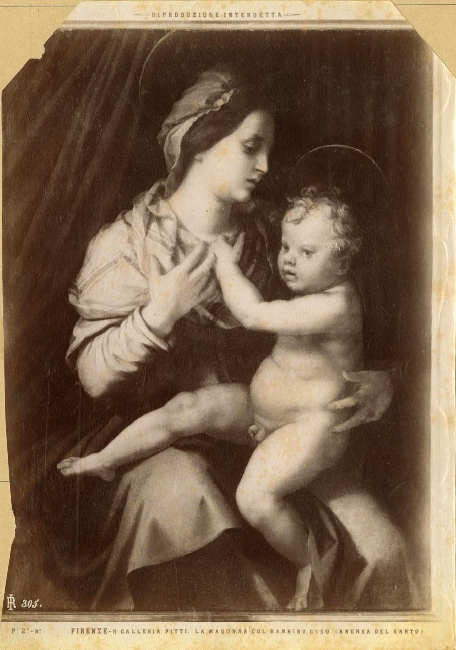 Madonna col Bambino - Dipinti (positivo) di Andrea del Sarto, Fratelli Alinari (ditta) (XIX)