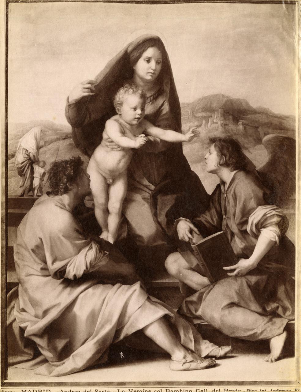 Madonna col Bambino - Dipinti (positivo) di Andrea del Sarto, Anderson, Domenico (ditta) (XIX/ XX)
