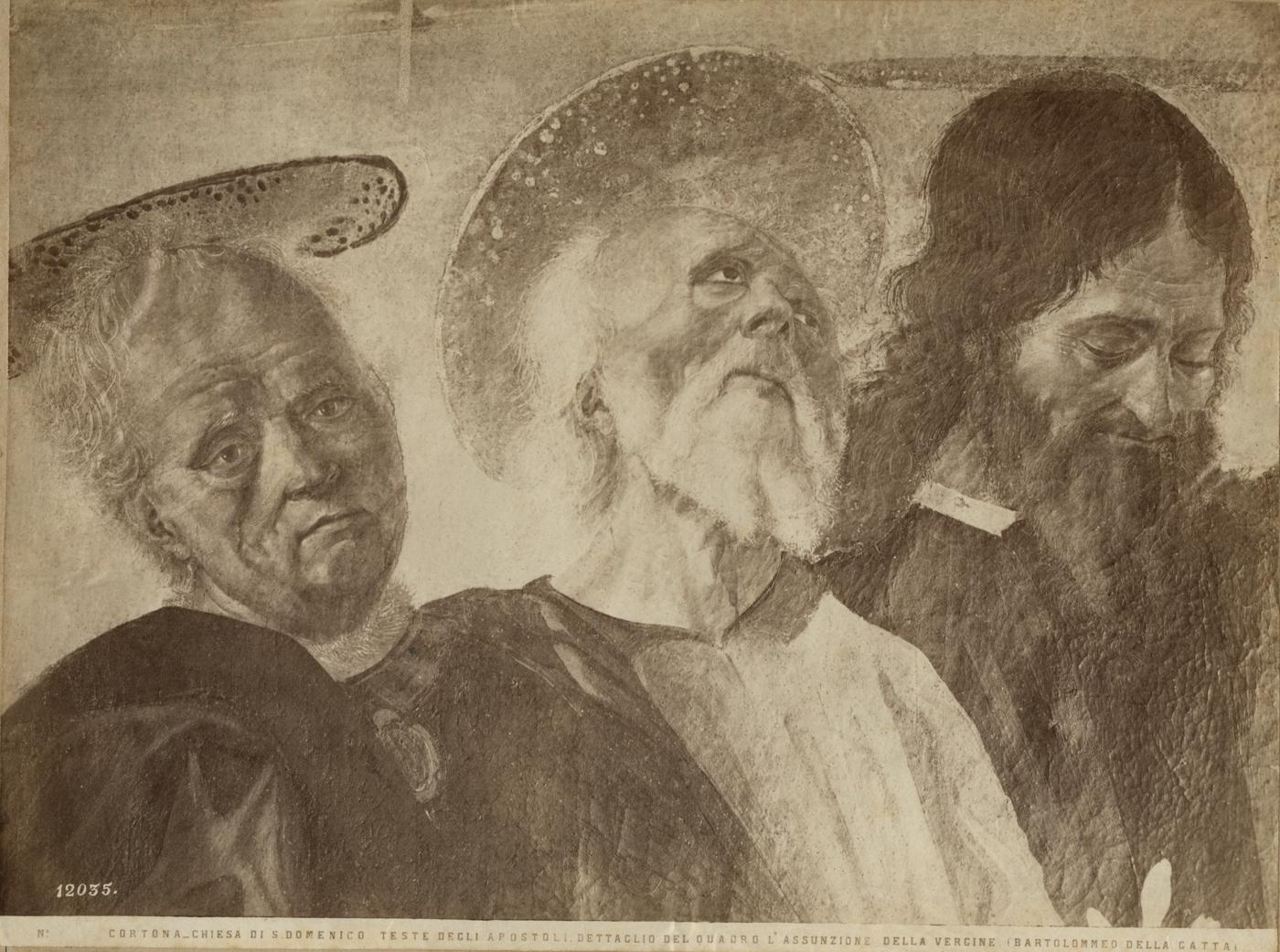 Assunzione della Vergine - Dipinti (positivo) di Bartolomeo della Gatta, Fratelli Alinari (ditta) (XIX)