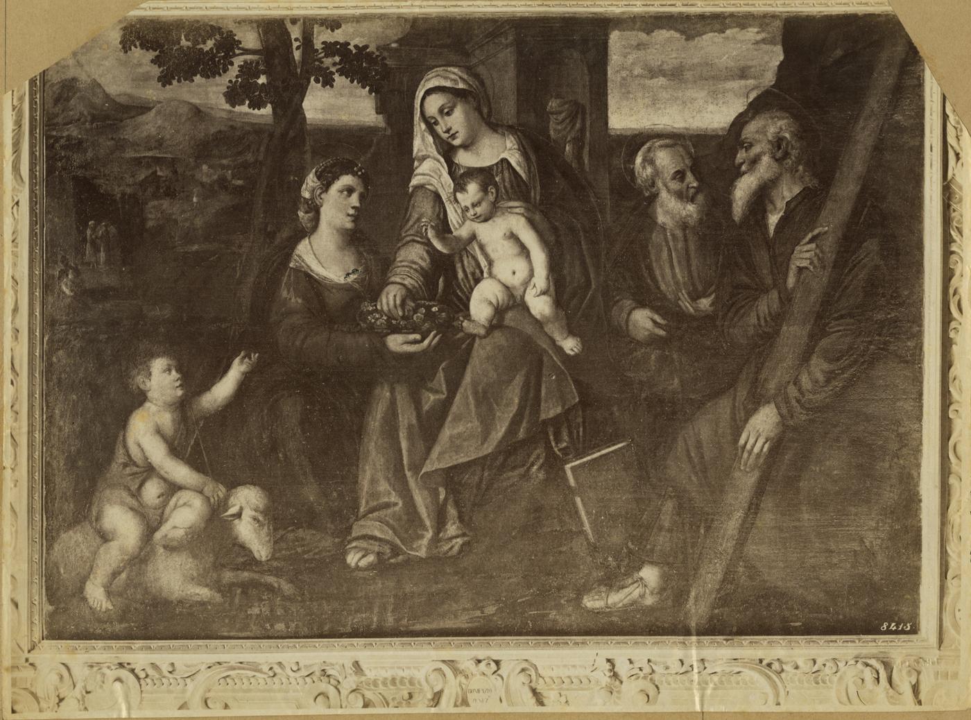 Madonna con Bambino e Santi - Dipinti (positivo) di dei Pitati, Bonifacio, Fratelli Alinari (ditta) (XIX/ XX)