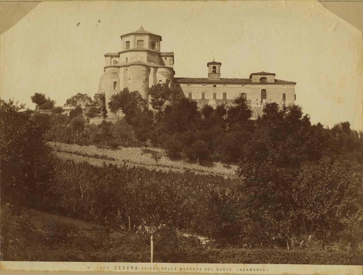 Cesena - Chiesa di Santa Maria del Monte - Architetture (positivo) di Gravina, Domenico, Terribilia, Francesco, Bramante, Donato (attr), Fratelli Alinari (ditta) (XIX)