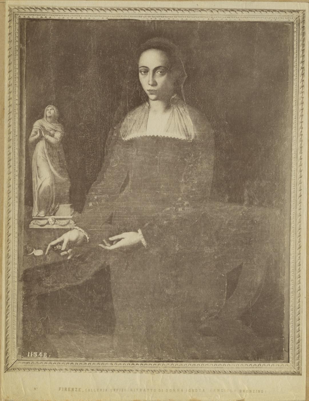 Ritratto femminile - Dipinti (positivo) di Bronzino, Agnolo, Fratelli Alinari (ditta) (XIX/ XX)