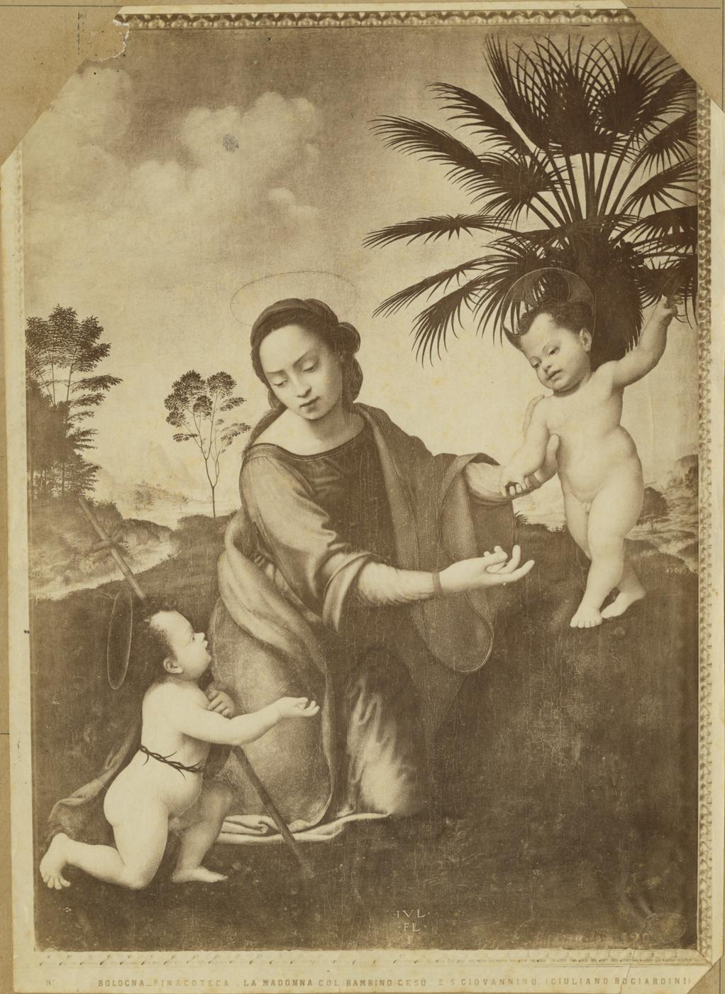 Madonna con Bambino e San Giovannino - Dipinti (positivo) di Bugiardini, Giuliano, Fratelli Alinari (ditta) (XIX)