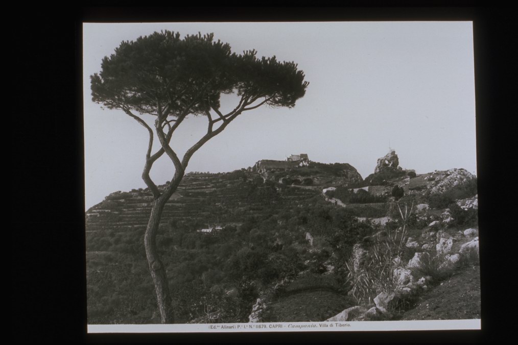NA/ Capri/ Villa di Tiberio (diapositiva) di Alinari, Fratelli (ditta), F.lli Alinari S.p.A. - Istituto di Edizioni Artistiche (ditta) (XX)