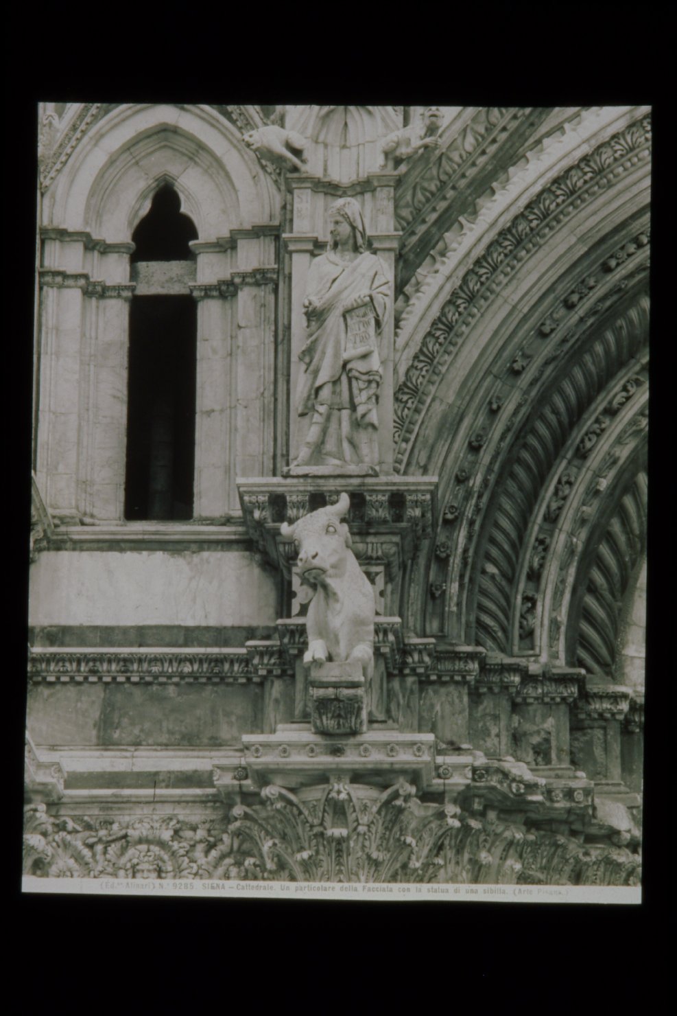 Arte pisana sec. XIII/ Siena/ Cattedrale/ Dettaglio scultoreo della facciata con Sibilla e toro (diapositiva) di Alinari, Fratelli (ditta), F.lli Alinari S.p.A. - Istituto di Edizioni Artistiche (ditta) - ambito pisano (XX)